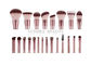 Champagne Private Label Makeup Brushes 22 Pieces , Synthetic Makeup Brushes