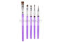 5Pcs Decorating Brush Set With Purple Slim Handle Art Painting Brush Collection For Food