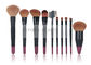 10 pcs Custom Professional Makeup Brush Set With Nature Hair And Duel Colors Wood Handle