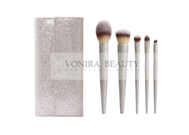 Shiny Silver Handle Synthetic Makeup Brushes Stylish Brush Case Involved